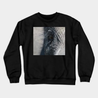 Elephant Eye Crewneck Sweatshirt